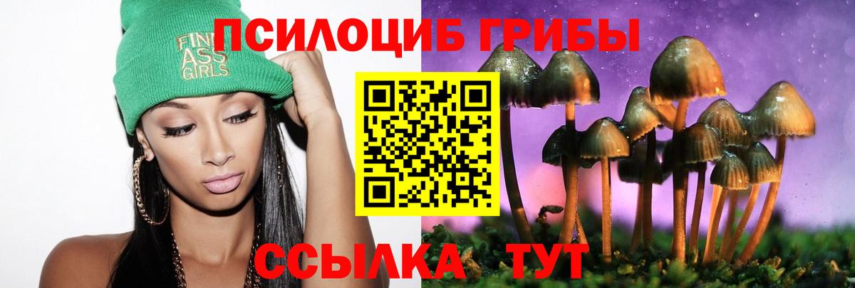 Галлюциногенные грибы Cubensis Чайковский